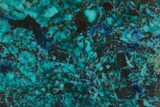 Vibrant Chrysocolla and Shattuckite Slice - Mexico #383745-1